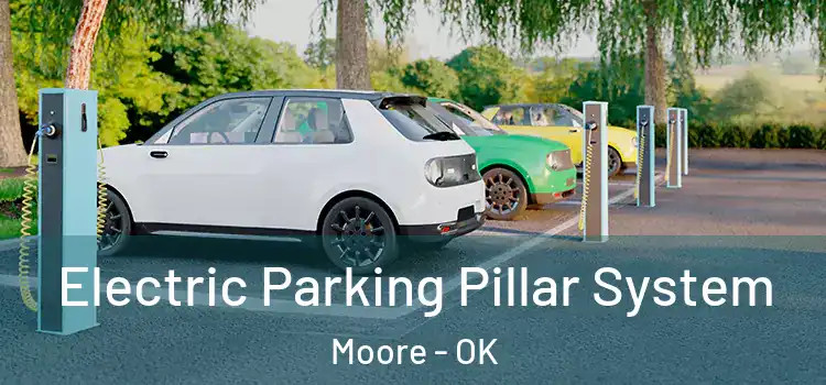 Electric Parking Pillar System Moore - OK